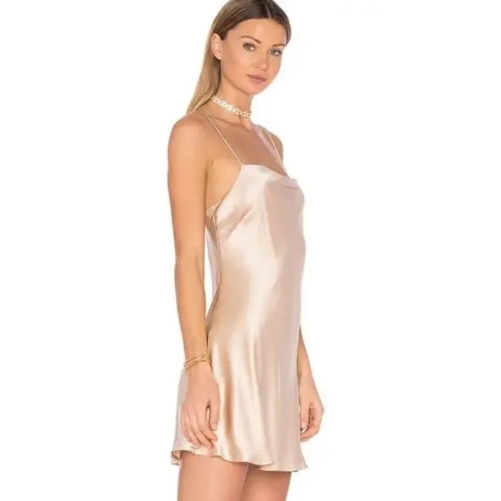 Backstage Naomi Dress in Mink Champagne NWT Size XS - Picture 3 of 4
